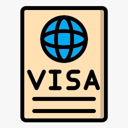 visa icon